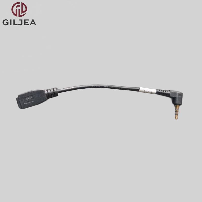 MINI 10P TO 2.5 ST CABLE