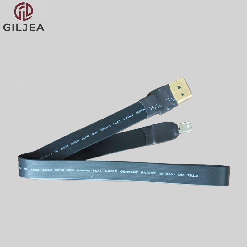 DP - MINI DP CABLE